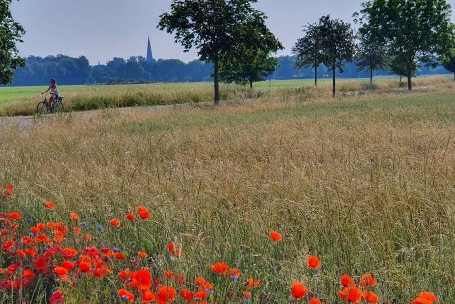 Nachhaltigkeitsstrategie für den Tourismus in Sachsen-Anhalt