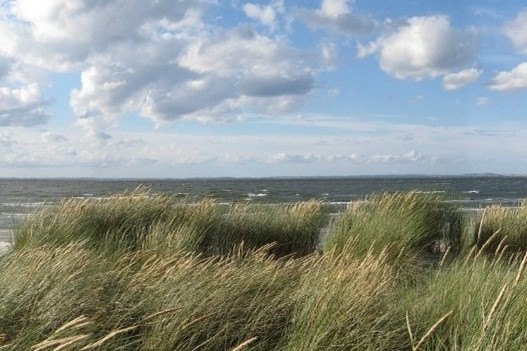 Erstellung einer Qualitäts- und Nachhaltigkeitsstrategie für die Region Vorpommern (Festland)