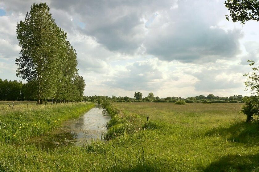 Rahmenkonzept für das Biosphärenreservat Drömling