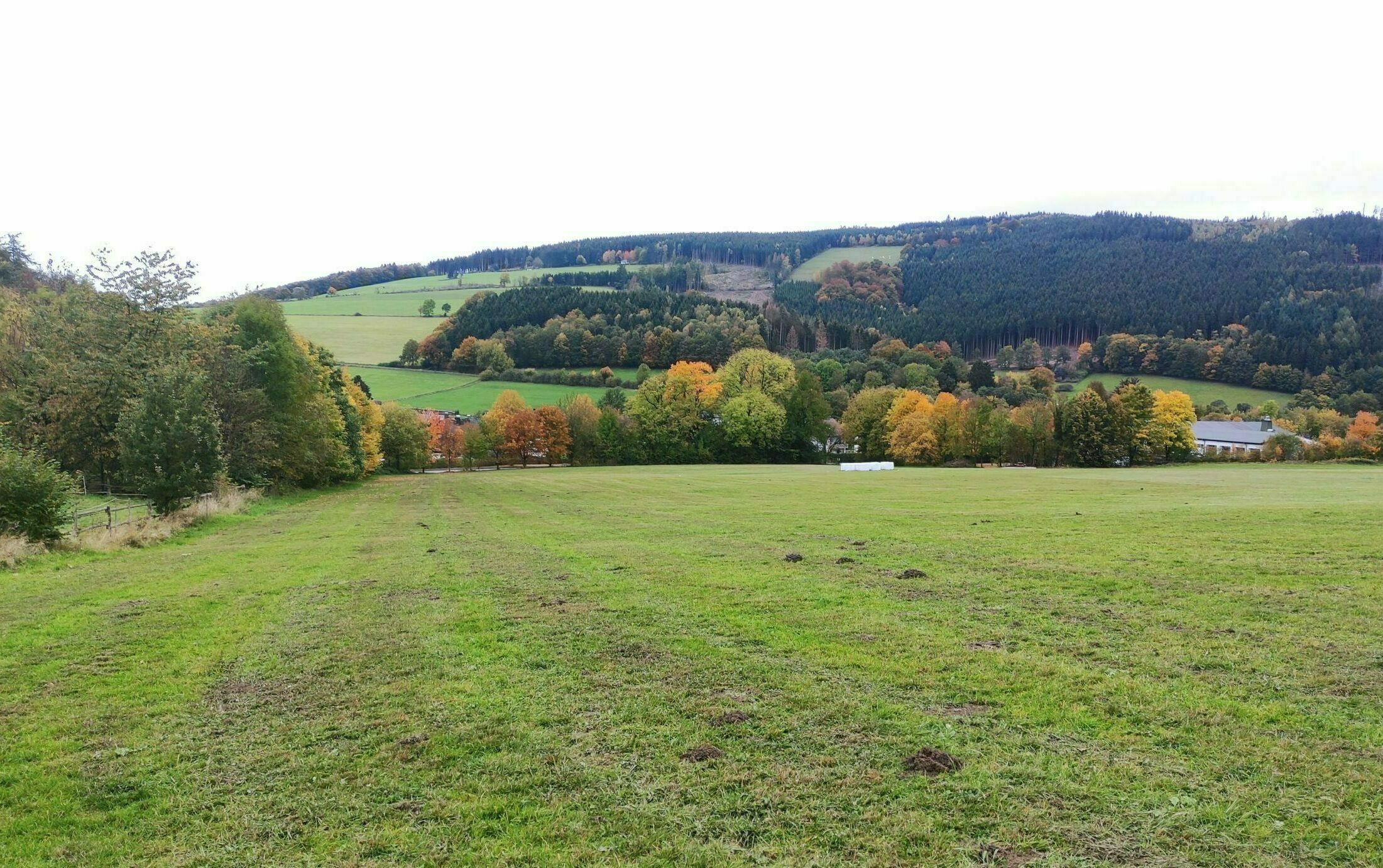 Potenzialanalyse für ein Hotelprojekt im Hochsauerlandkreis