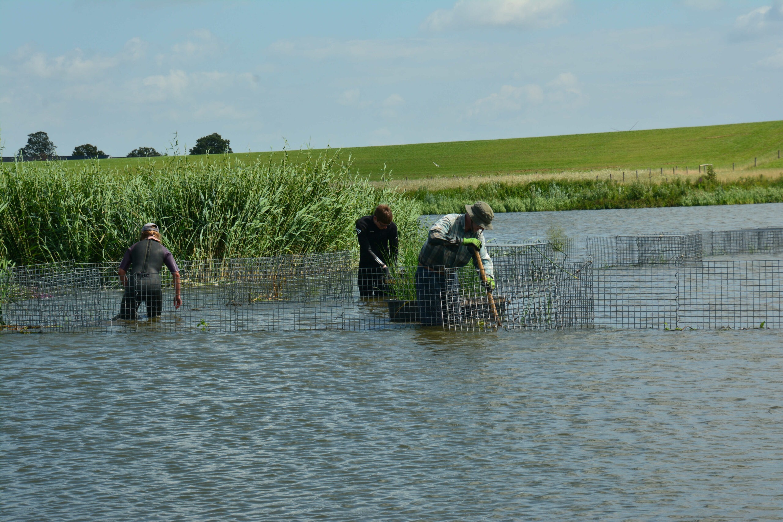 Sozioökonomische und Akzeptanz-Analyse zum Naturschutzgroßprojekt „Reeds for Life“