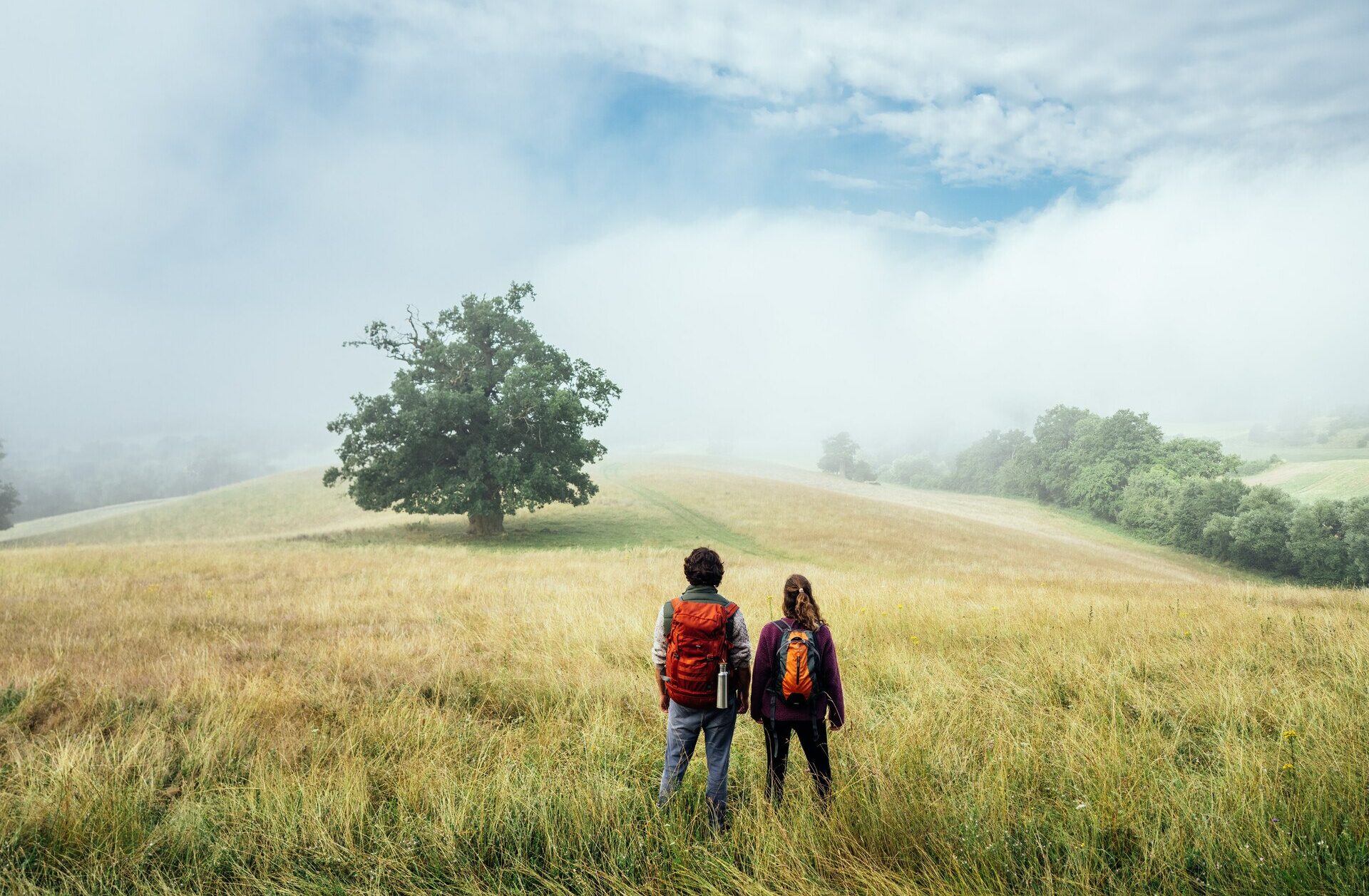 Strategie zur nachhaltigen und qualitativen Entwicklung des Naturparkwegs Mecklenburg-Vorpommern