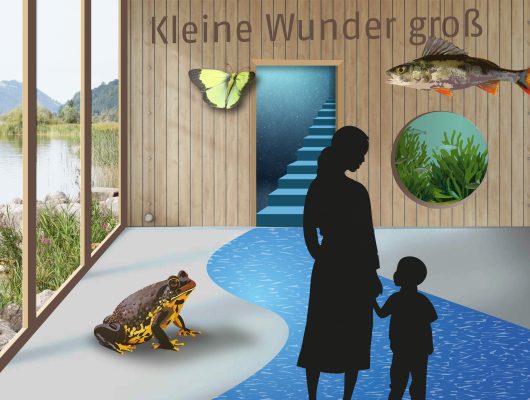 Ausstellungskonzeption für das Besucherzentrum Naturpark Nagelfluhkette