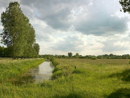 Rahmenkonzept für das Biosphärenreservat Drömling